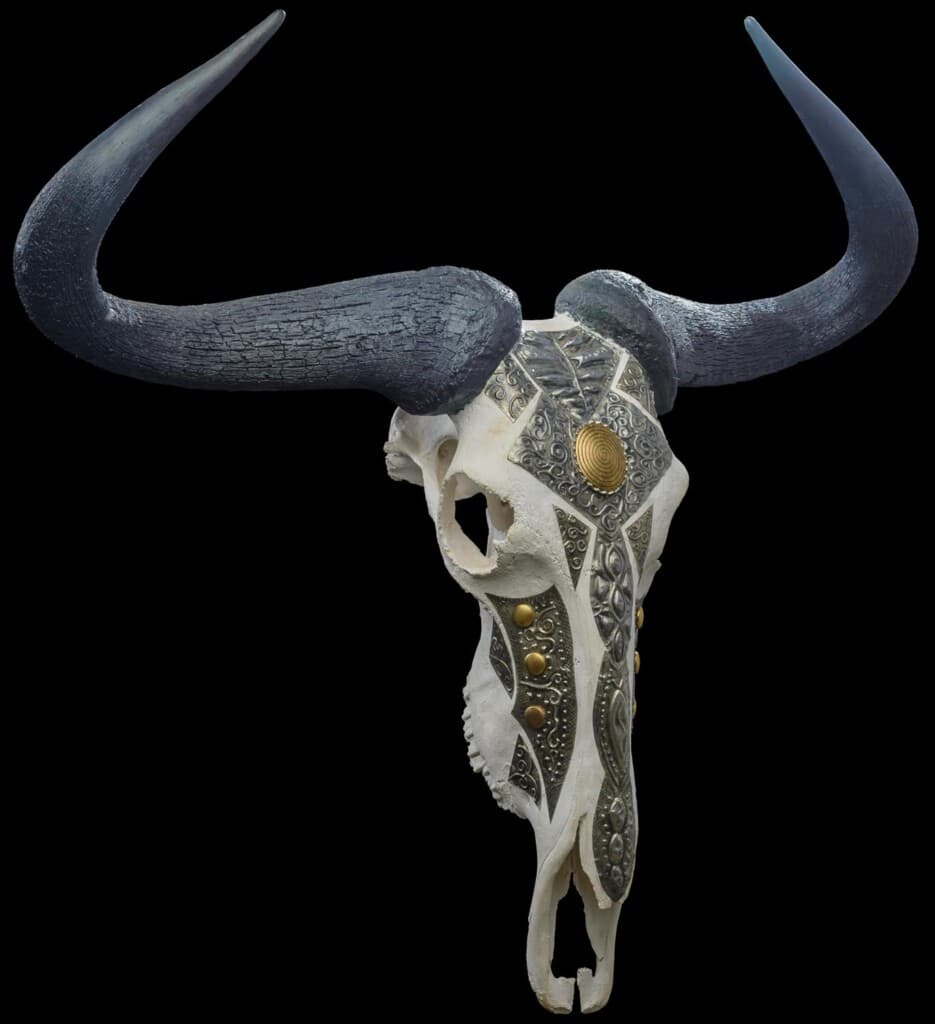 Blue Wildebeest Fullskull Pewter 20171130 1396