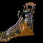 Crocodile and Bushbuck Fullmount Combination 20201022 0197