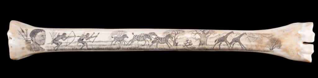 Giraffe Bone Schrimshaw 20151021 0493