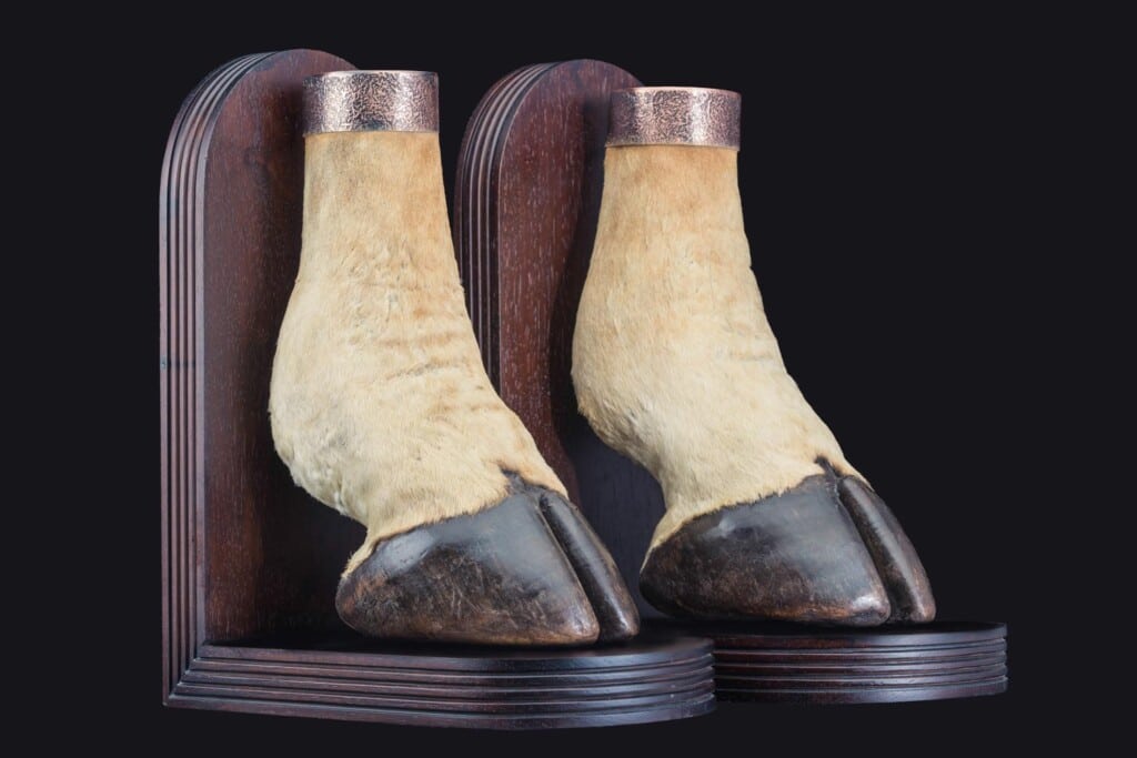 Giraffe Foot Bookends 20170818 0497