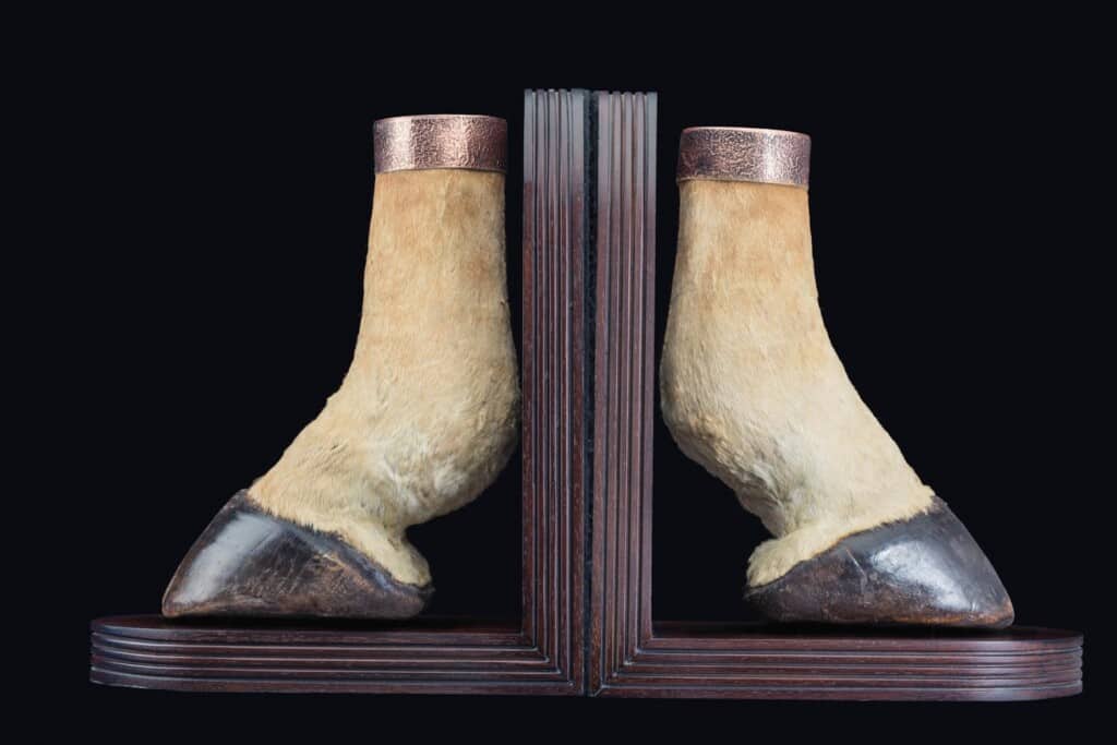 Giraffe Foot Bookends 20170818 0498