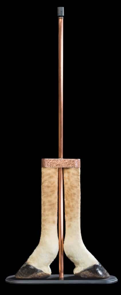 Giraffe Foot Lamp 20170717 0496