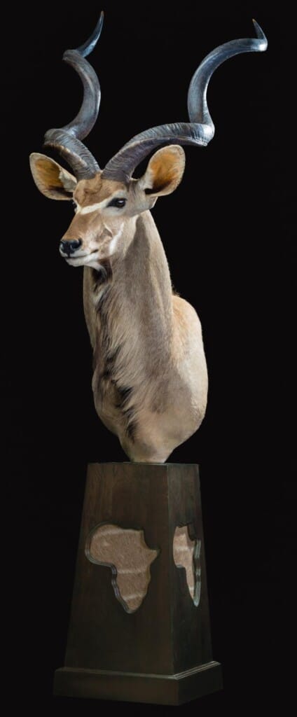 Kudu Pedestalmount Custom Base with Skin Inlays 20190329 0690