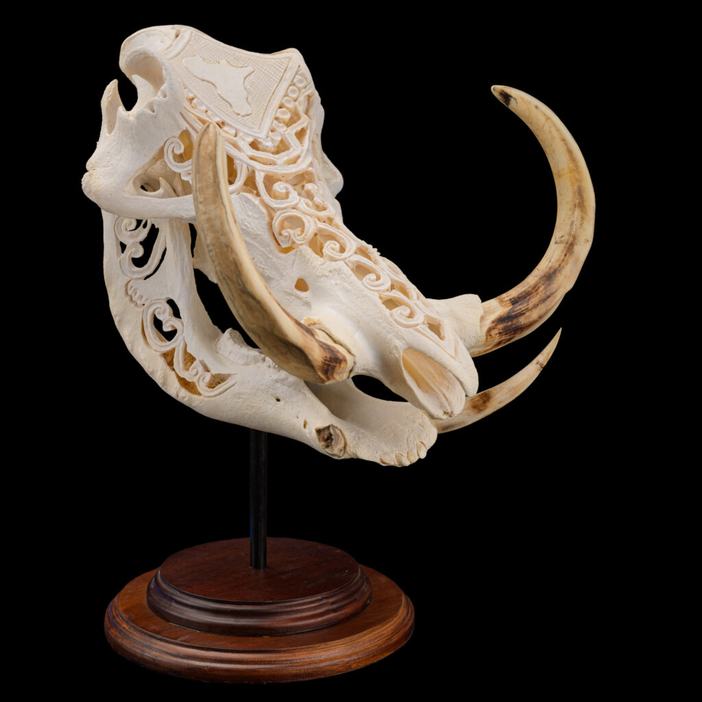 Warthog Fullskull & Jaw Carved on Metal Stand with Wood Base 20250716 73055