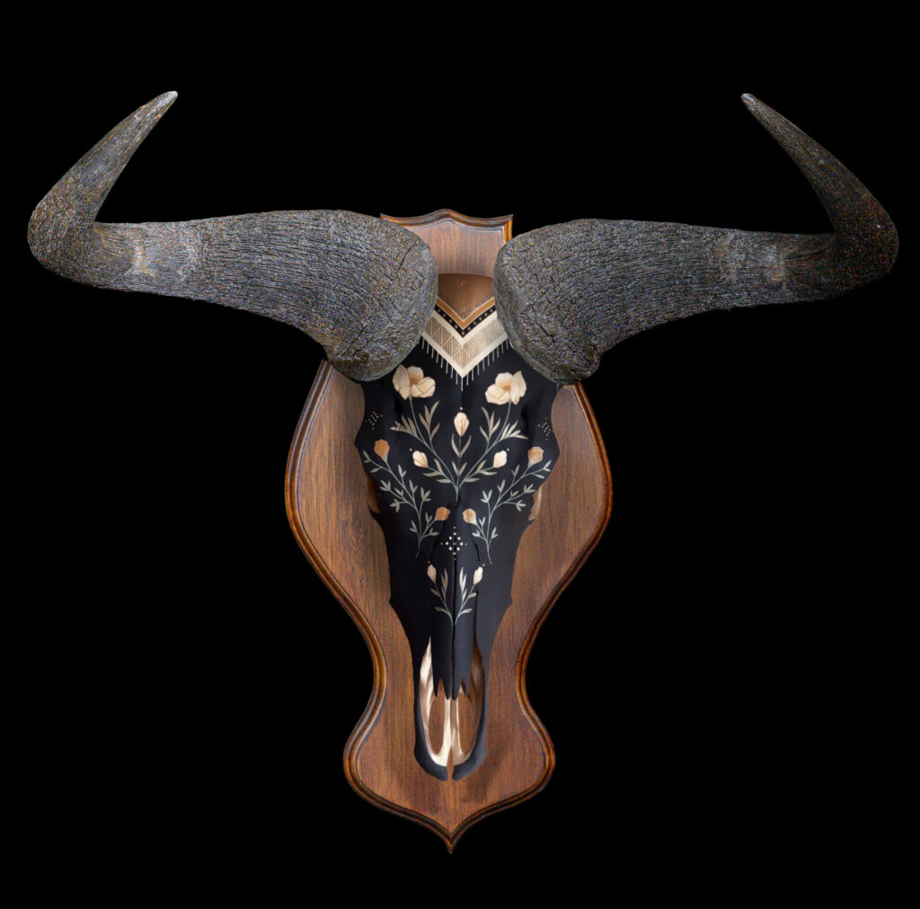 Blue Wildebeest Fullskull Shieldmount Painted 20250407 72960