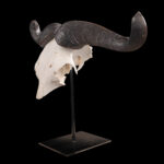 Blue Wildebeest Euro Skull on Metal Stand 20250505 72947