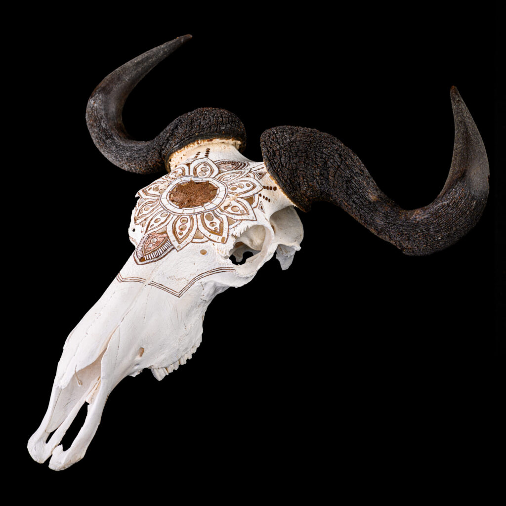 Blue Wildebeest Fullskull Carved & Painted 20251128 73379