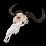 Blue Wildebeest Fullskull Carved & Painted 20251128 73379