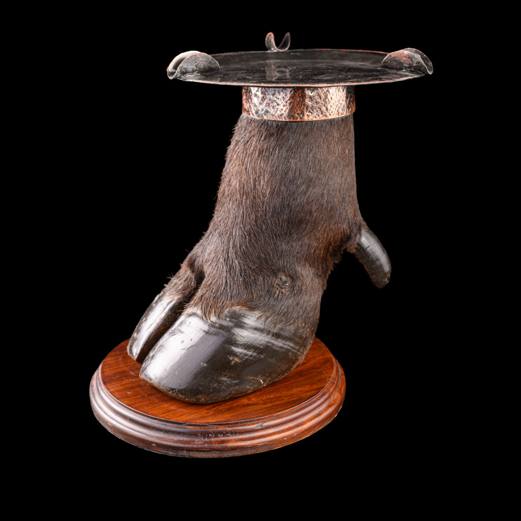 Buffalo Foot Ashtray 20250821 73282