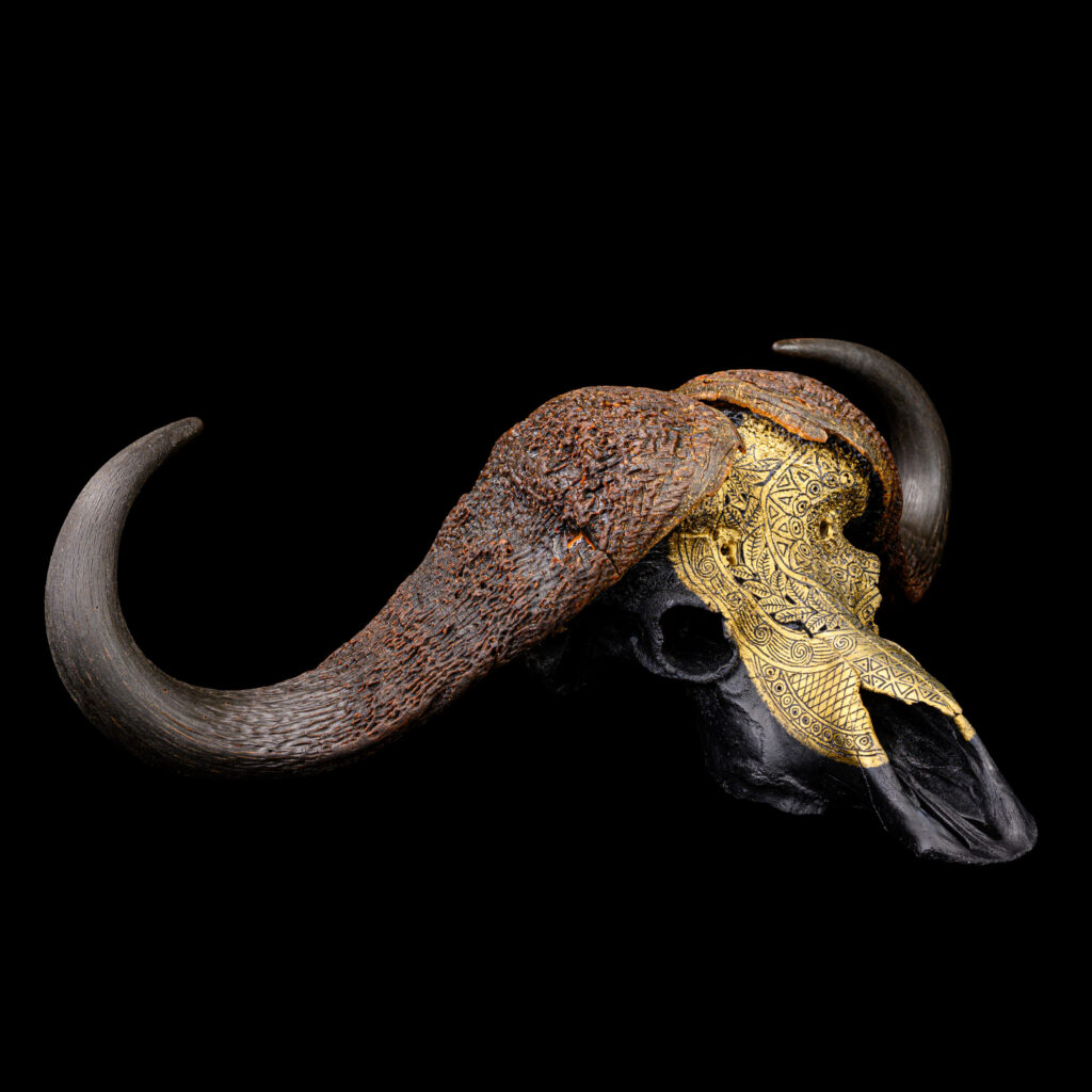 Buffalo Fullskull Carved & Painted 20251128 73380