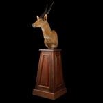 Bushbuck Pedestalmount R/T 20250804 73059