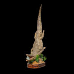 Crocodile & Tigerfish Fullmount Combination on Custom Base 20250910 73291