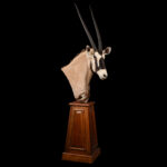 Gemsbuck Oryx Pedestalmount R/T 20250617 73307