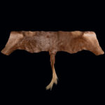 Golden Wildebeest Backskin Tan 20250528 73004