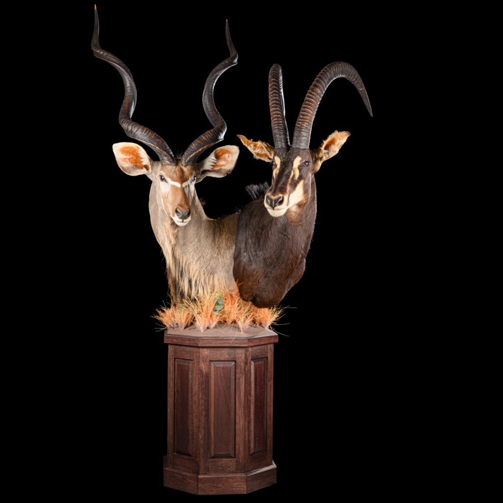 Greater Kudu & Sable Octagon Pedestalmount Combination 20250519 73319