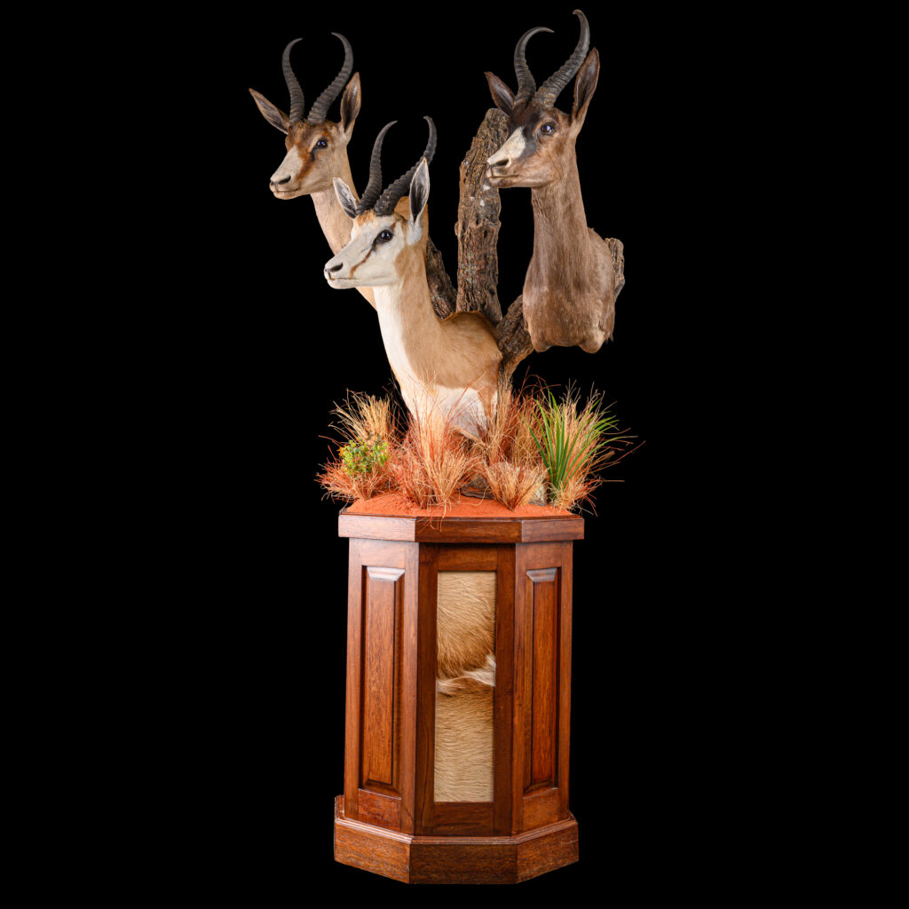 Springbuck Octagon Pedestalmount Combination with Springbuck Skin Inlay 20250821 73350