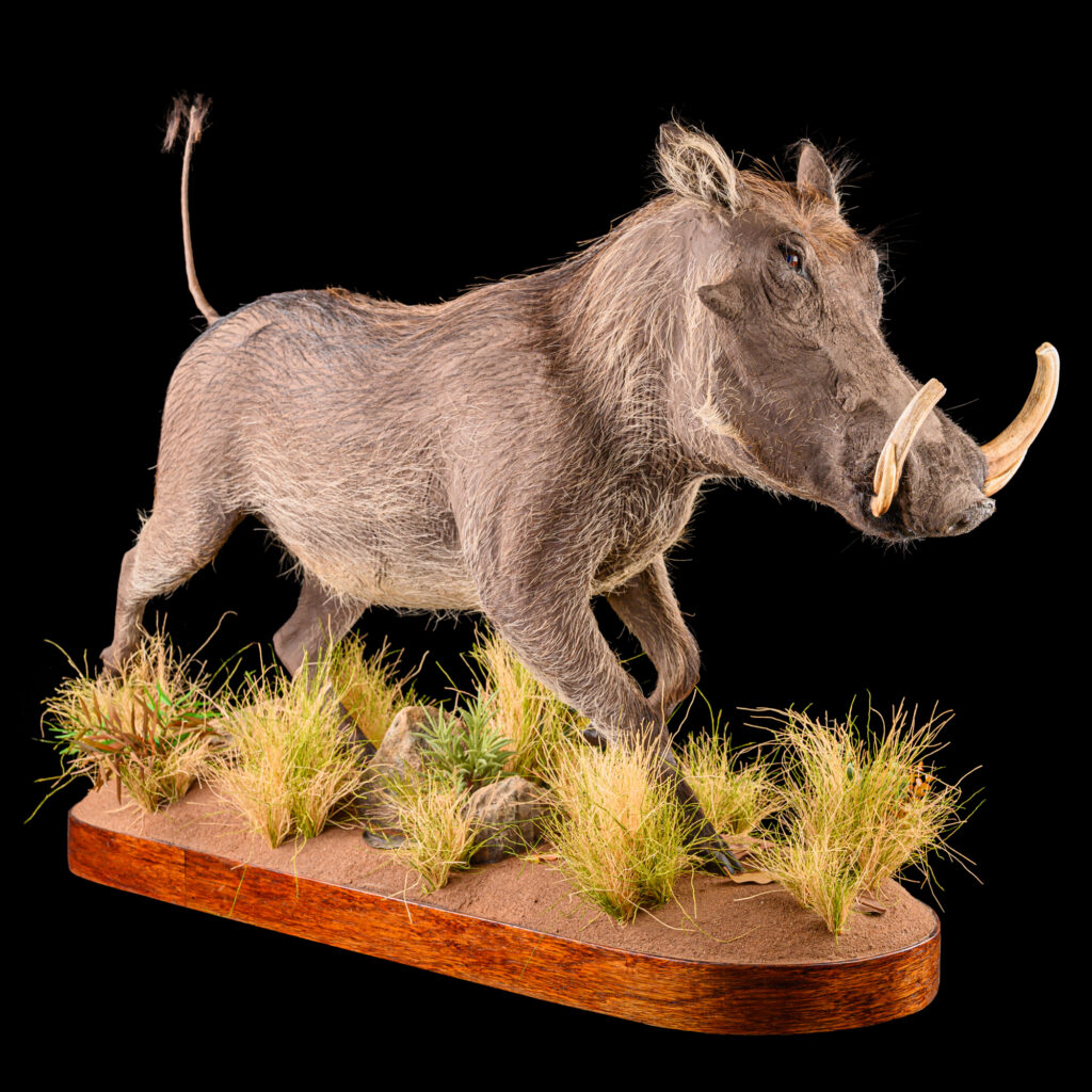 Warthog Fullmount 20250822 73353