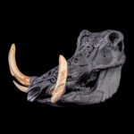 Warthog Fullskull Carved & Painted 20251128 73381