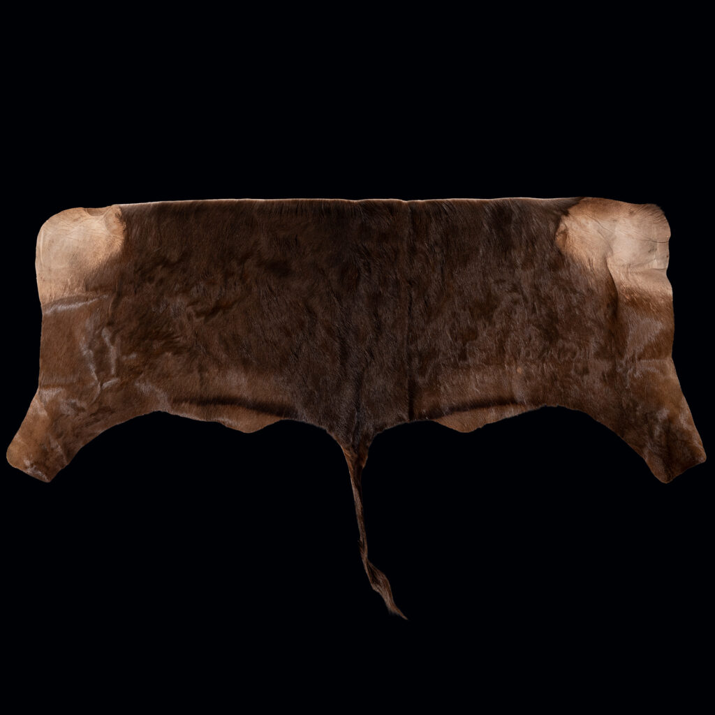 Black Impala Backskin Tan 20250528 73002