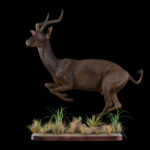 Black Impala Fullmount 20250704 73046