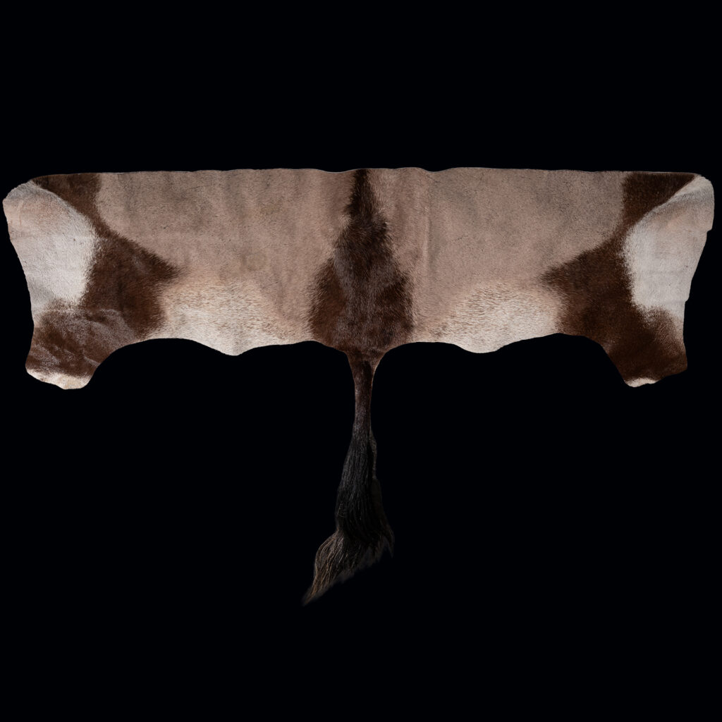 Gemsbuck Oryx Backskin Tan 20250528 73003