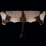 Gemsbuck Oryx Backskin Tan 20250528 73003