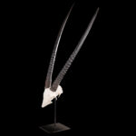 Gemsbuck Oryx Euro Skull on Metal Stand 20250505 72948