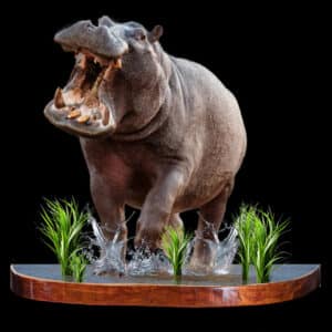 Hippo Artificial Fullmount in Diorama Base 20241202 72833
