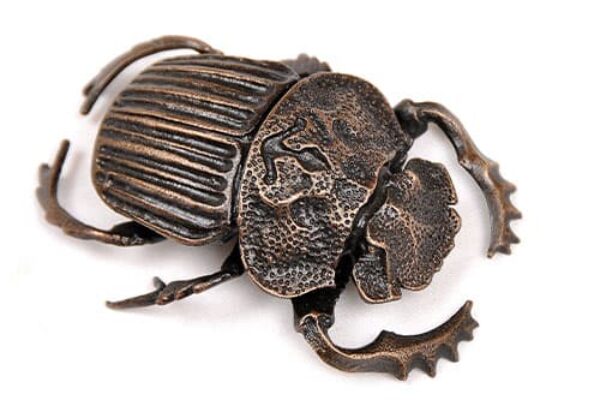 Bronze Sculptures Beetle